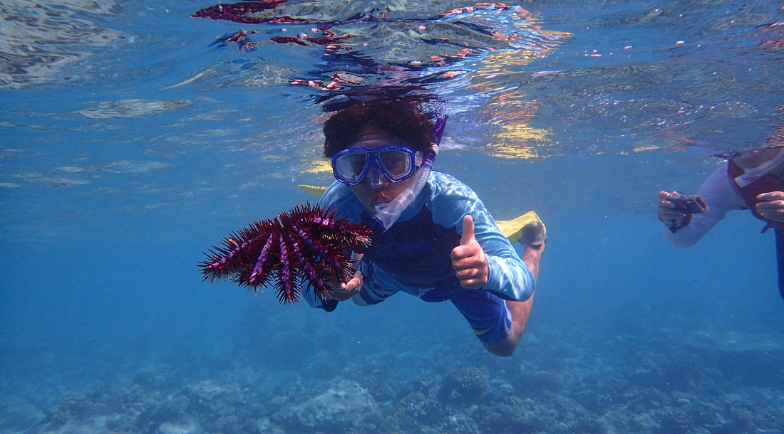 Snorkel Tour