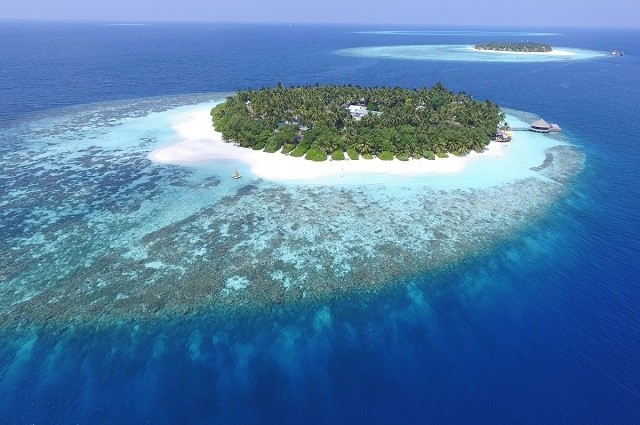 Banyan Tree Global Foundation En Coral Island Resilience To Climate Change